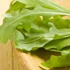 Top 10 Home Garden Vegetables