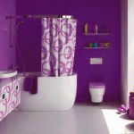 purple toilet idea