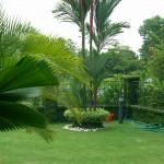 home-garden-beauty