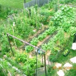 home-garden-ideas