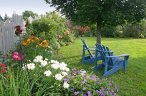 home-gardening-ideas
