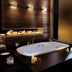 luxary toilet