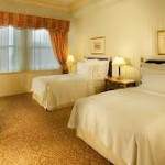 proper double bed for visitor