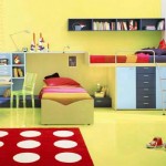 room ideas for youngs