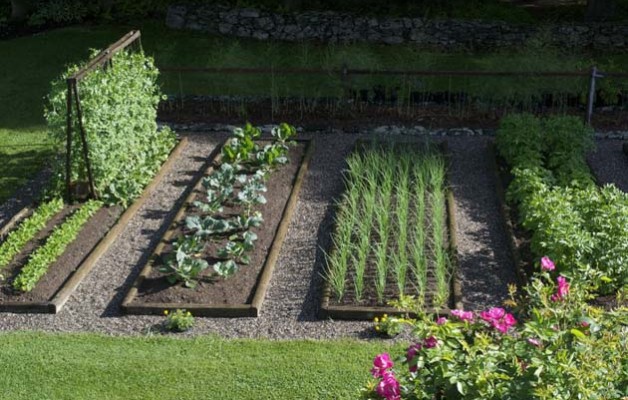 3 Easiest Organic Home Vegetable Gardening Plane Ideas for Winter