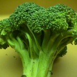 broccoli after harvest