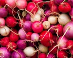 How to Grow Radish at Home
