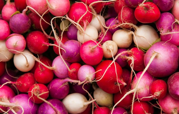 How to Grow Radish at Home