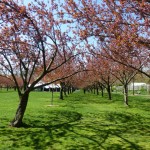 fifth very attractive garden in the world