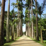 fourth most beautiful garden