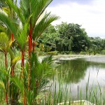 ninth most famous and beautiful garden in the world