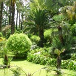 tenth among top 10 most beautiful gardens in the world