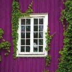 wooden colorful window style