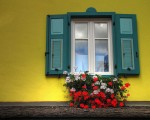 Top Window Designs for Homes