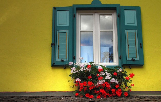 Top Window Designs for Homes