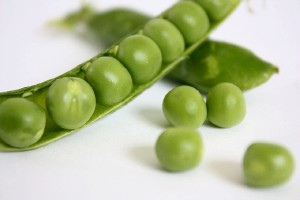 growing peas in pot