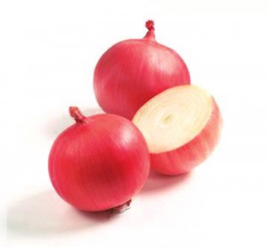 common garden vegetable
